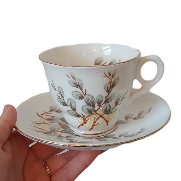 Royal Stafford Teacup and Saucer Set- Pussy Willow - Picture 1 of 4